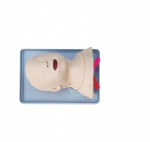 KAS-15/2 Infant Trachea Intubation Training Model